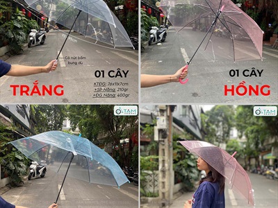 Dù trong suốt thời trang cán dài nhựa dẻo [3 màu] R93cm PHUKIEN-01